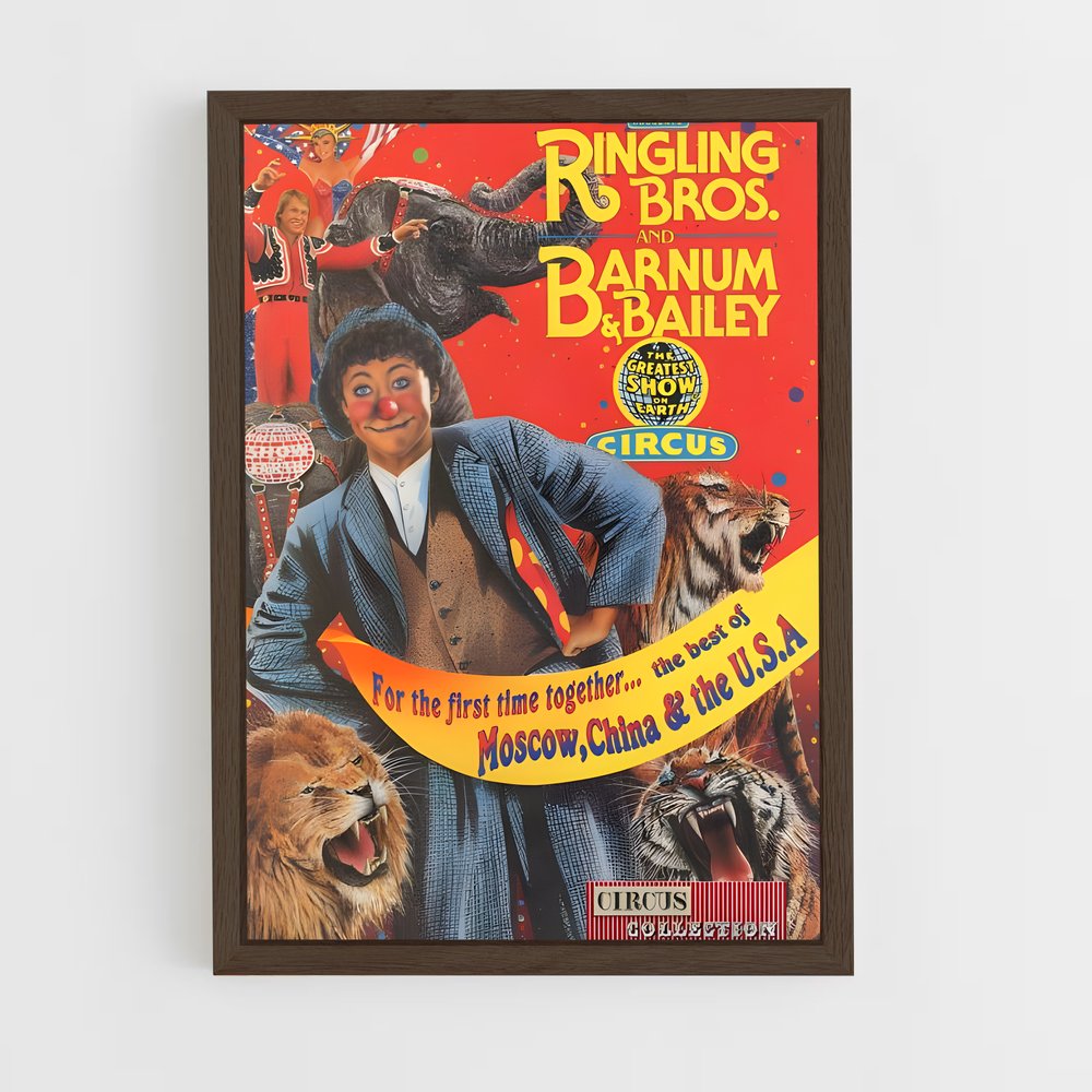 Poster Le Cirque Éblouissant (vue 5)